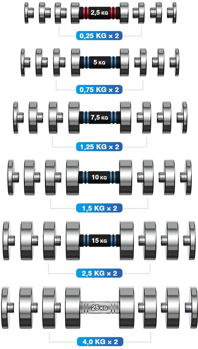 SnelShoppen - 4 stuks 0,25kg losse gewichten voor 2,5kg halters - Stalen haltergewichten voor krachttraining, fitness, bodybuilding, home gym, zwart,