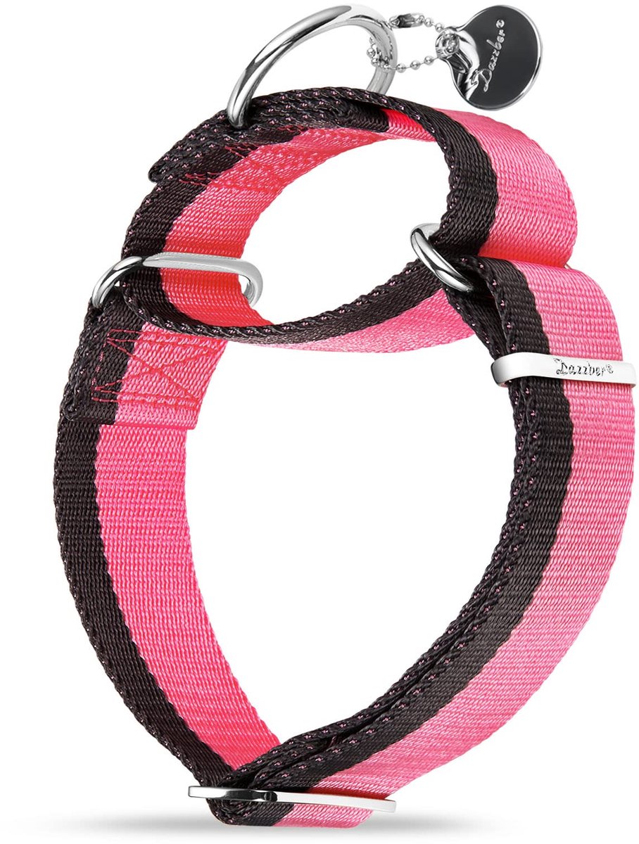 SnelShoppen - Dazzber Reflecterende Hondenriem Heavy Duty Nylon Touw - Sterke Hondenriem met Veilig Slot - Baby Roze en Grijs - Groot 4 cm Breed - Voo