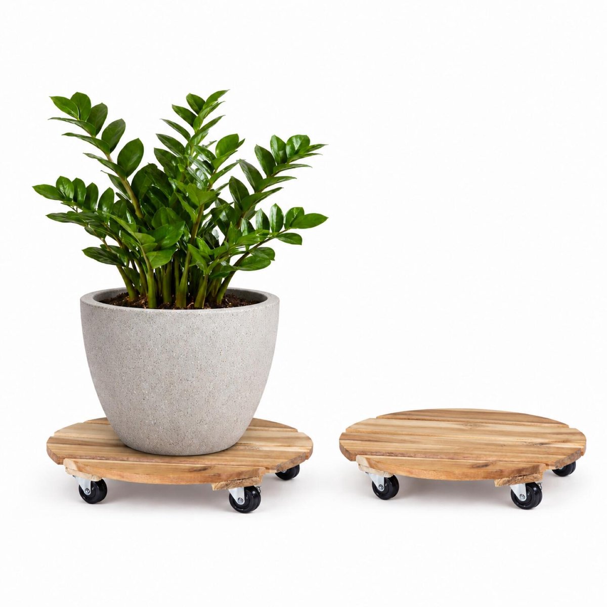 Mega Collections Plantenpot trolley - 2x - Acacia hout - D30 x H8 cm - tot 50 kg - multiroller - hondje