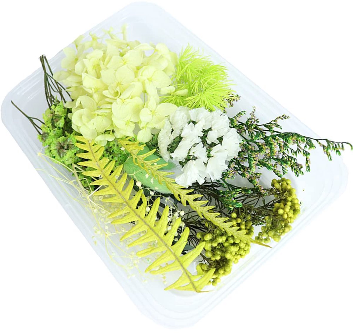 Dailygoods - Natuurlijke Gedroogde Bloemen voor Handwerk - 1 Doos Unieke Bloemen