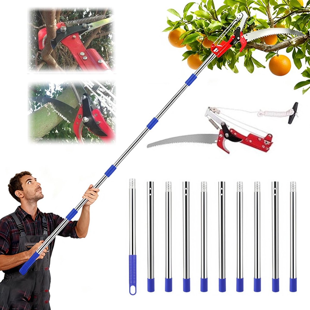 Dailygoods- Takkenschaar Telescopisch 5m - Snoeizaag - Roestvrij Staal - Draagtas - Boomverzorging - Veilig snoeien vanuit de grond