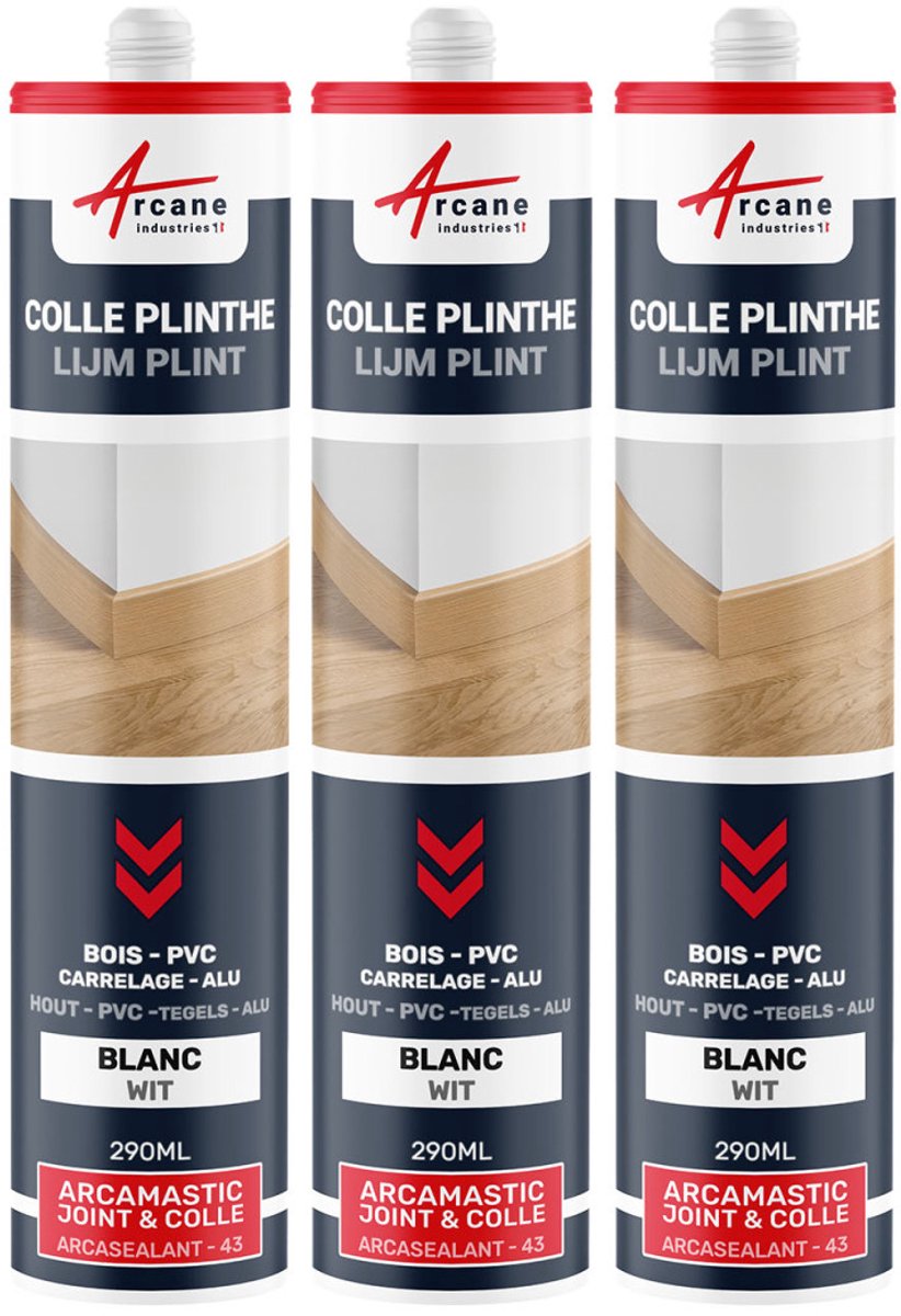 Hybride Polymeer Kit Lijm Plinten: ARCAMASTIC JOINT ET COLLE PLINTHES