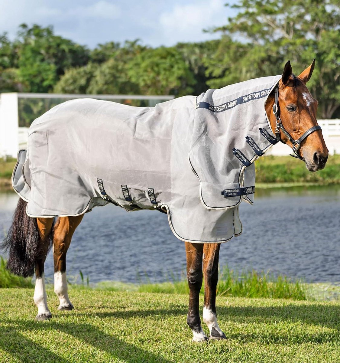 Vliegendeken Paard - Insectendeken Paard - Bescherming Tegen Insecten - Ademend Scheurbestendig Mesh - 1 Voud - Zilver Marine Wit Beige