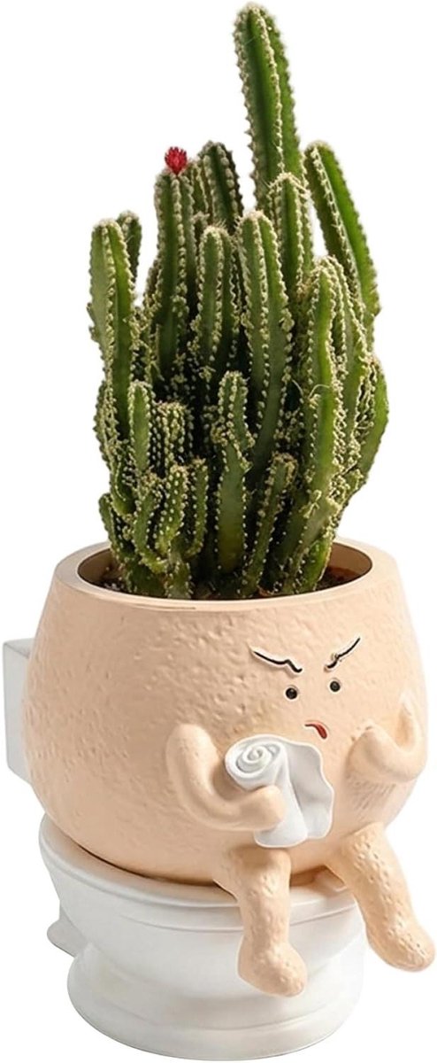 Grappige Toiletpot Plantenbak - Decoratieve Pot Plantenpot - Planten Decoreren - Karakter Ontwerp - 15 cm Hoog - Wit