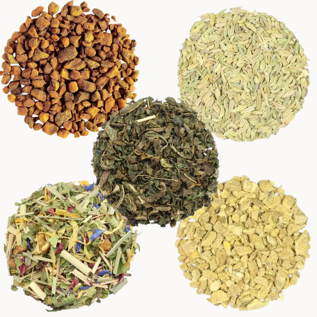 Proefpakket Detox thee – 5 x 15g Losse Thee – Brandnetel, Kruidenthee Citroengras, Gember, Kurkuma & Venkel