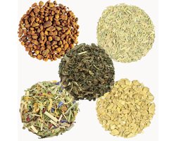 Proefpakket Detox thee – 5 x 15g Losse Thee – Brandnetel, Kruidenthee Citroengras, Gember, Kurkuma & Venkel
