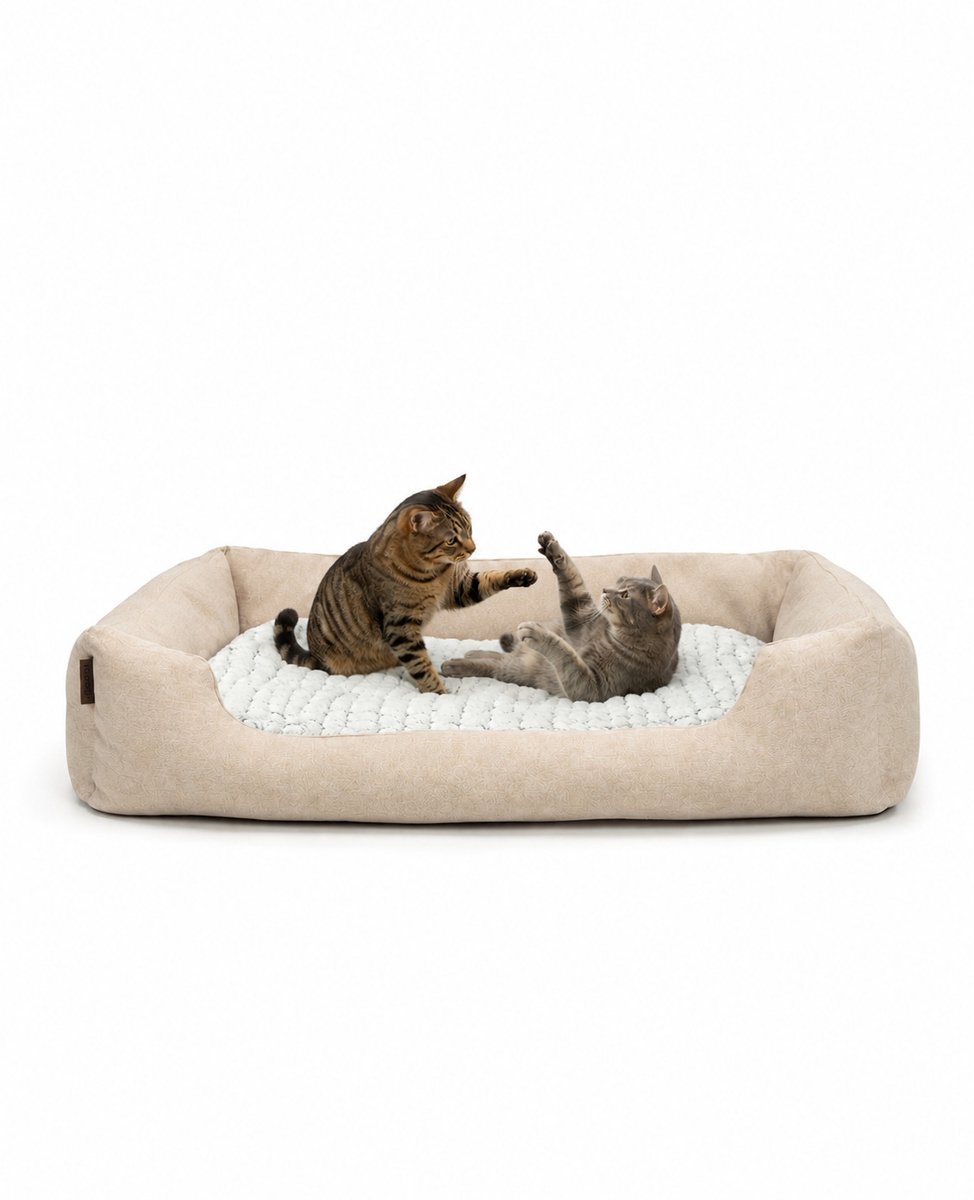 lionto Kattenbed, omkeerbaar kussen & lage instap, 110x80 cm beige