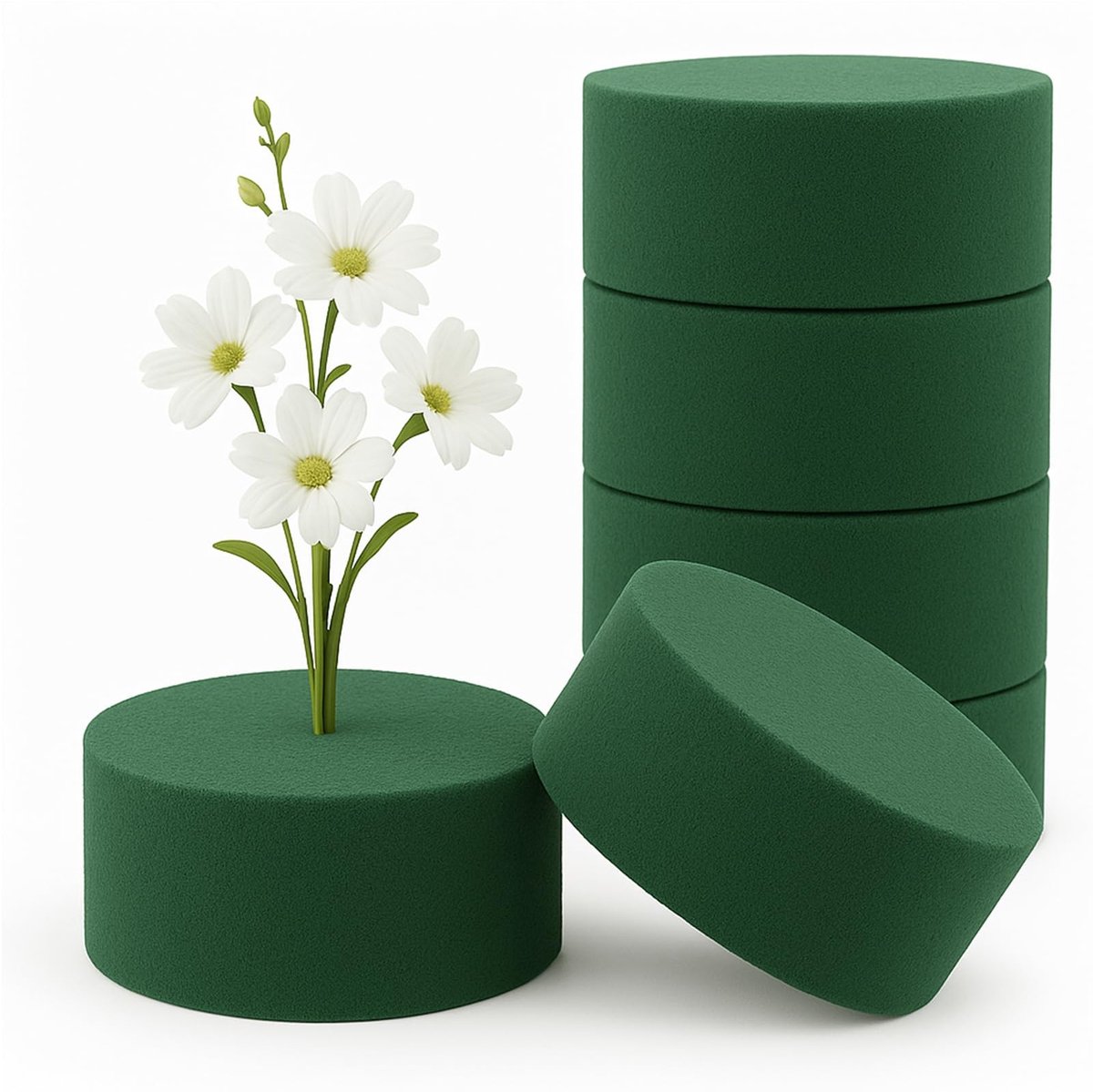 SolidKeus - Set van 6 Ronde Bloemschuim Cilinders voor Bloemarrangementen