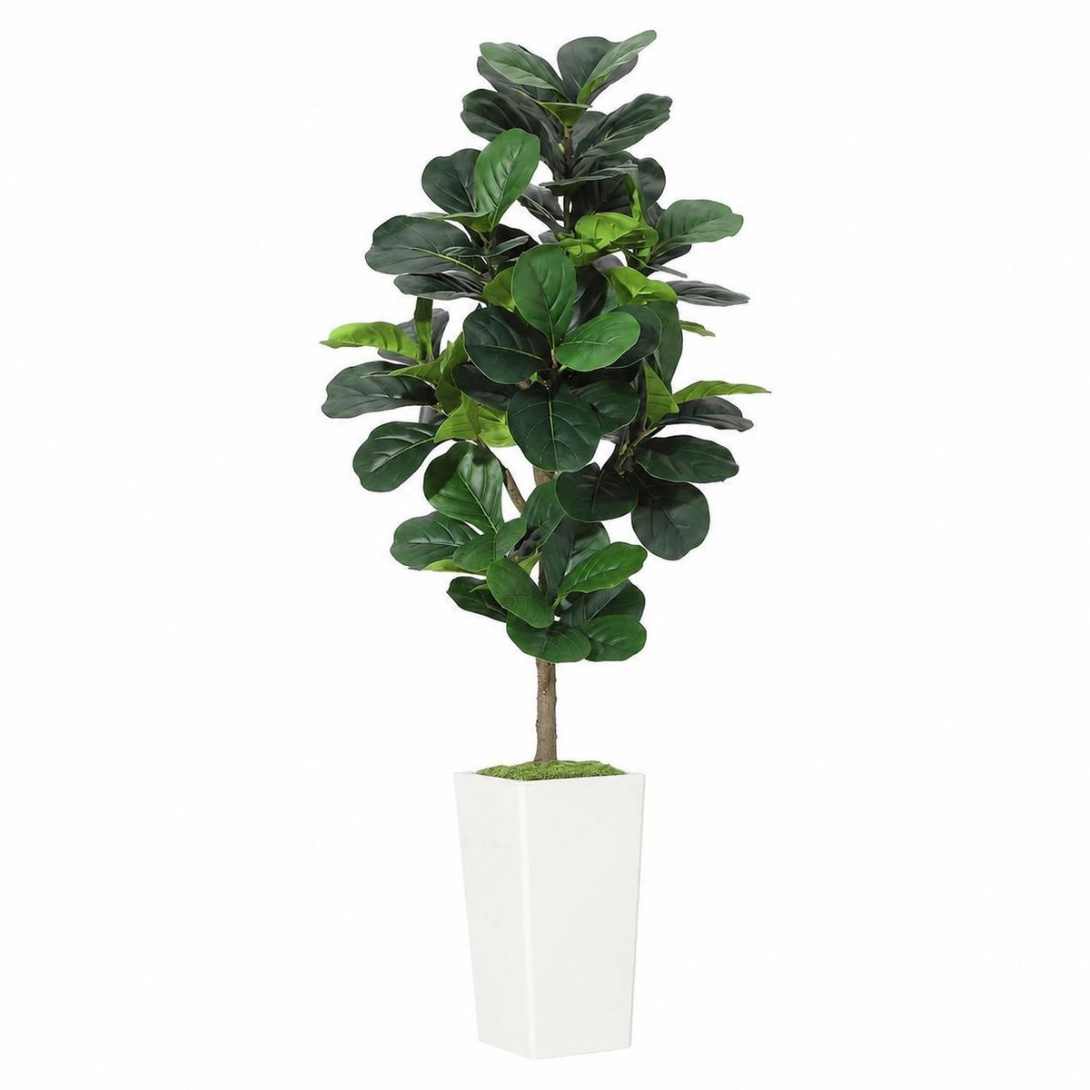 180cm Realistische kunst-Vioolbladvijgboom – kunst-Ficus Lyrata met buigbare takken, witte sierpot, onderhoudsarme vloerplant voor binnen, thuis, kantoor en woonkamer
