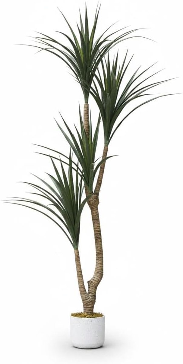 HOERFURIY kunst Dracaena Marginata 165cm - PEVA PE bladeren UV-bestendig verzwaarde cementpot - onderhoudsvrije tropische kunstplant woonkamer hal kantoor terras
