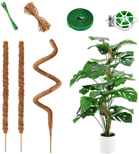 SolidKeus - Klimplantsteunen Set van 3 met Kokosvezel