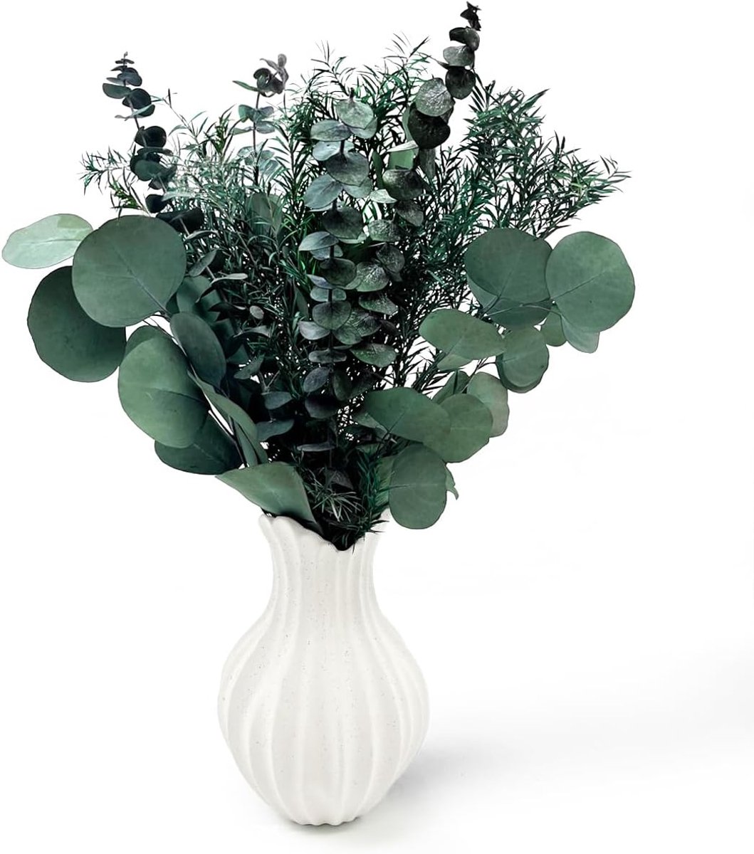 Droogbloemen - eucalyptus - gedroogd - 3 soorten gemengd voor de perfecte bruiloft - bloemenarrangementen thuis - decoratie