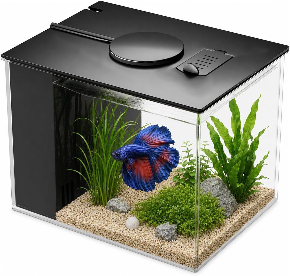 Aquariumset, 3,7 liter, klein aquarium voor tafel, zelfreinigend nano-aquarium met ledlampen en filtersysteem, ideaal voor kleine vissen, garnalen en planten (zwart)