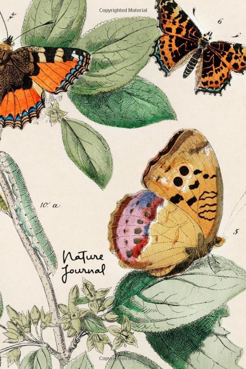 Journal: Sketchbook for Kids and Grownups - Butterflies and Moths