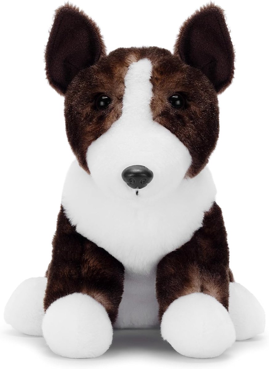 Co David de pluchen Staffy (22 cm) – Superster Staffy – Zacht en knuffelbaar, gerecycled – Stevige maar lieve vriend