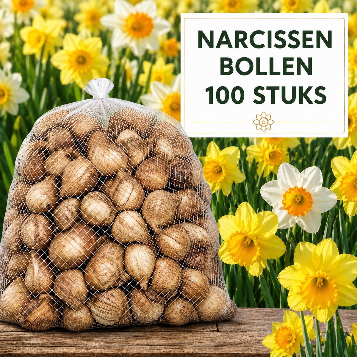 Narcissen Bloembollen - 100 stuks - Bloem Bollen Mix - Voor Tuin of Pot - Maat 12+ - Vers van de Teler!