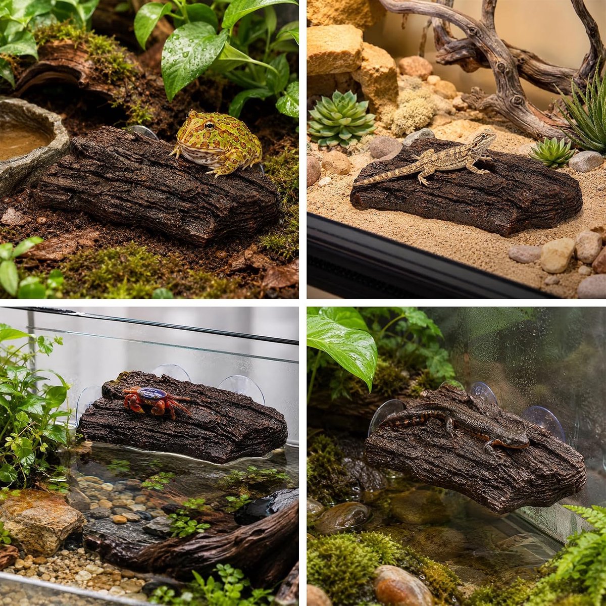 Badplatform voor schildpadden, helling voor waterschildpadden, rustplaats en solarium, drijvend platform met natuurlijke schors, voor aquarium en terrarium