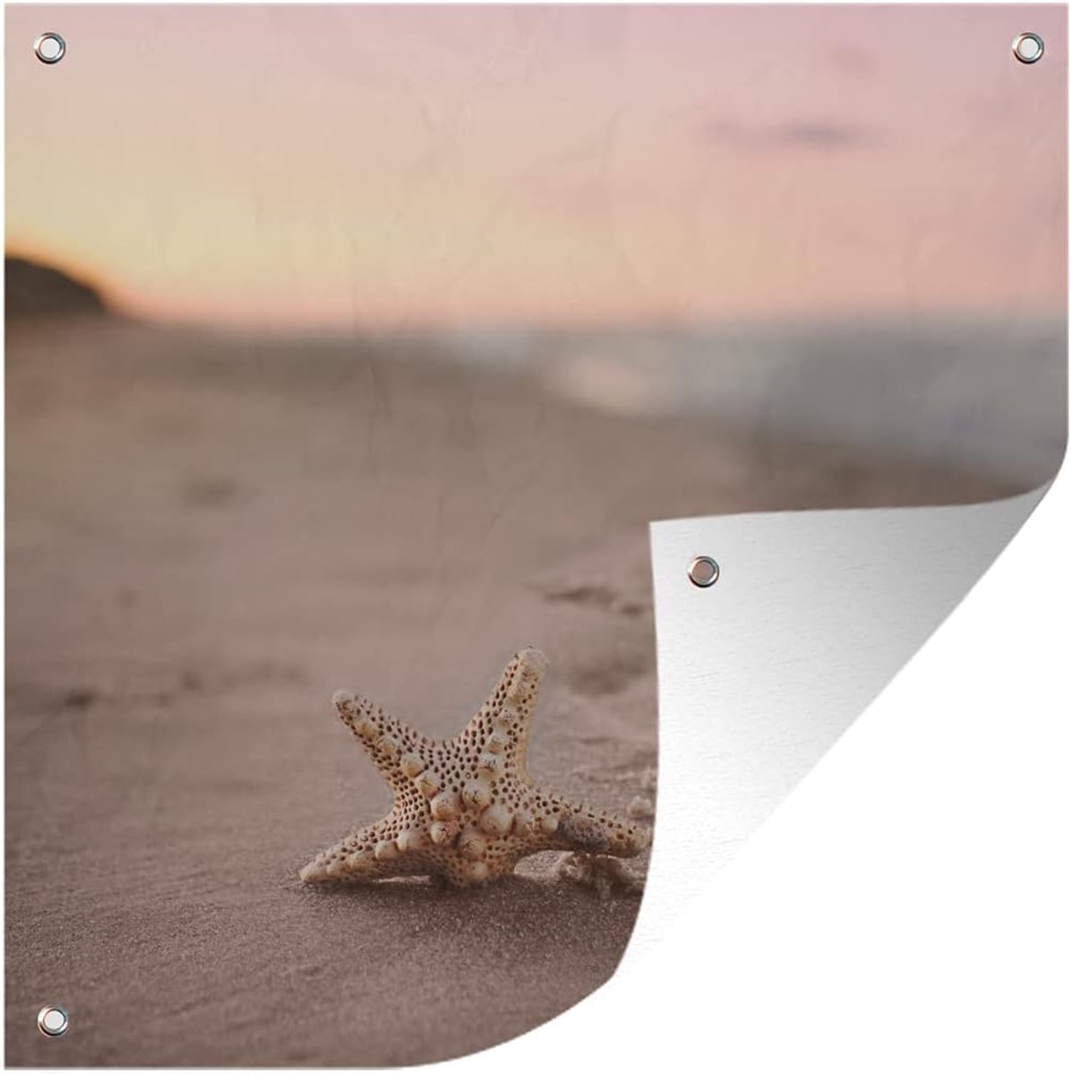 Tuinposter - 200x200 cm - Zeester - Strand - Kleuren