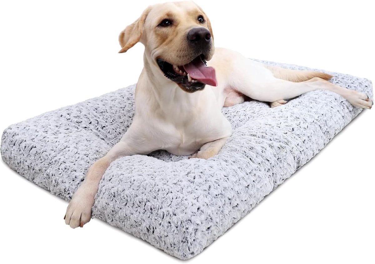 Hondenmand voor Kleine Honden - Antislip & Machinewasbaar - voor Bench, Mand & Reis - voor Kleine Rassen - Grijs - 58*89cm - 1 Stuk