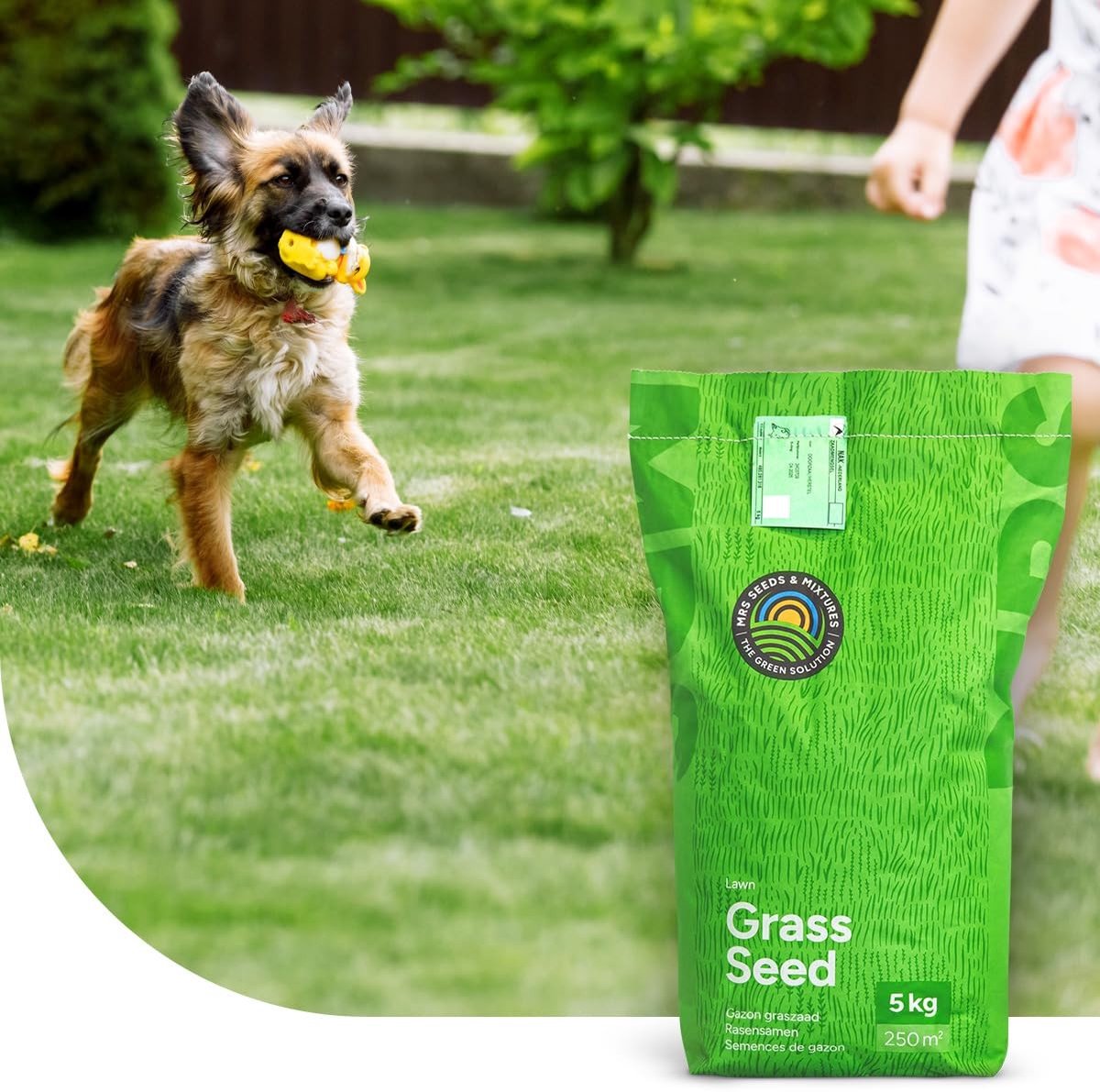 Elzusha - Speel- en Sportgazon Graszaad (5 kg) - Snelkiemend en Betreedbaar (Voor 250 m²)