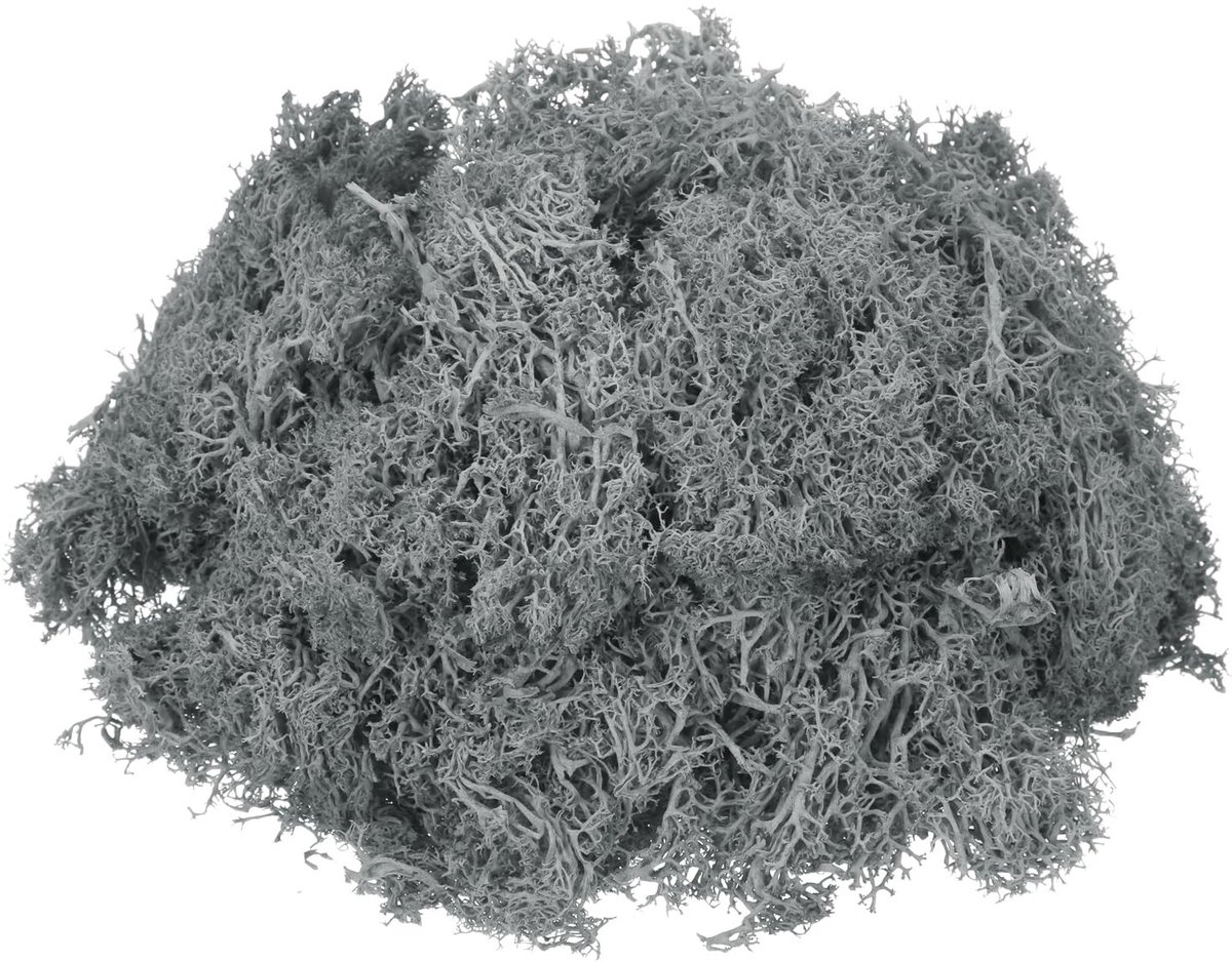 Elzusha - Geconserveerd Rendiermos Grijs 300g voor Knutselen en Decoratie