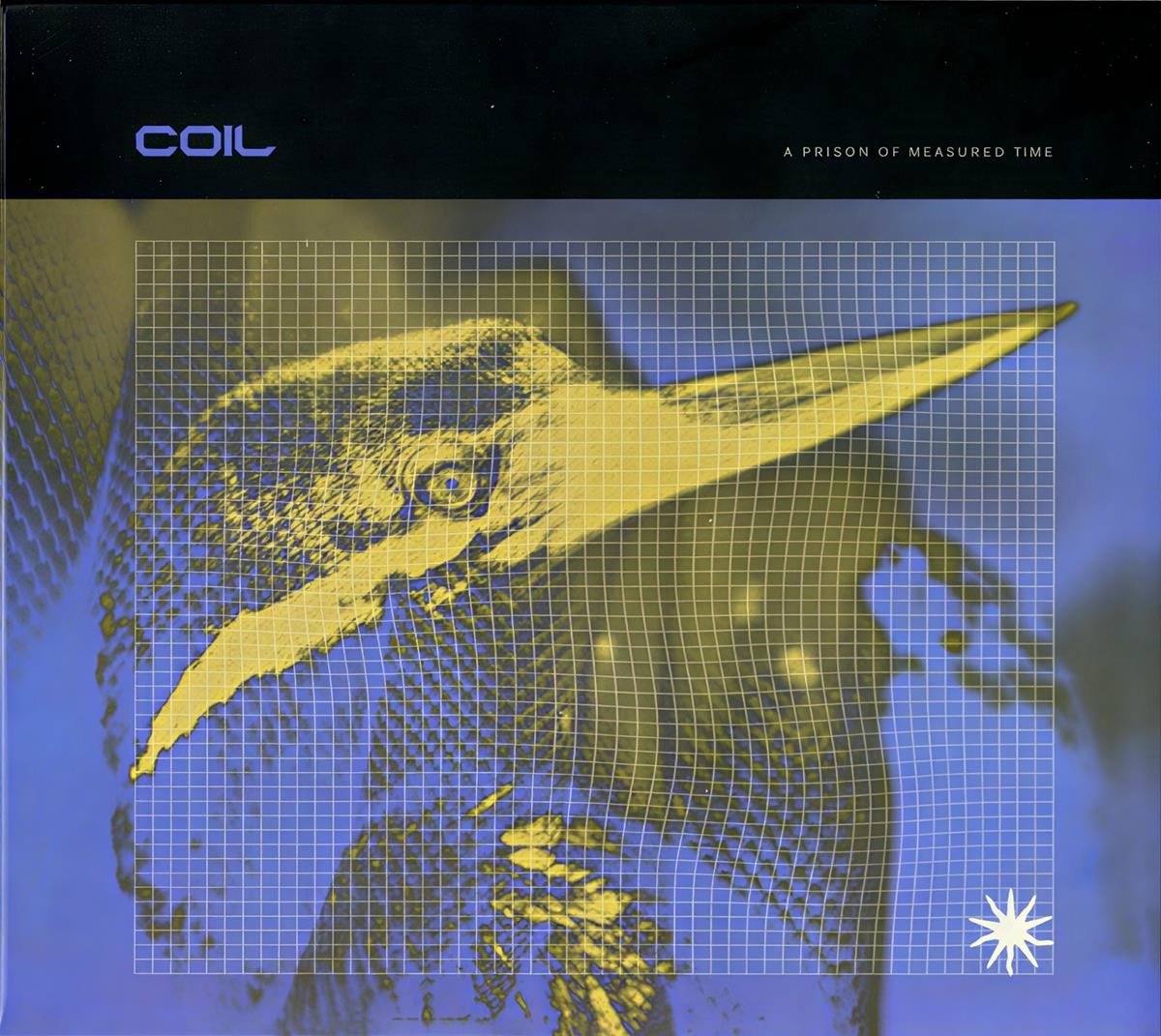 Coil - A Prison Of Measured Time (LP)