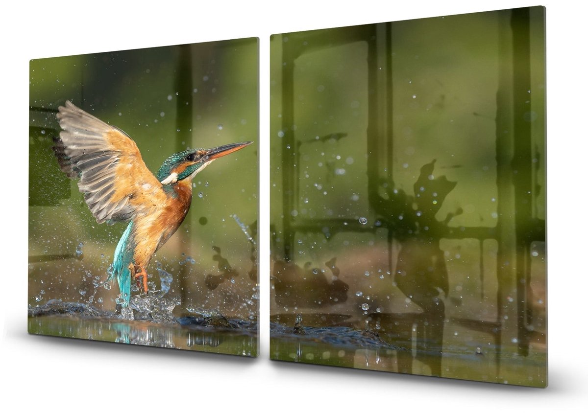 Mydesignglas Glazen Inductie Beschermer - Krasvrij Gehard Glas met Antislip - Afdekplaat voor Kookplaat - Spatscherm Achterwand Keuken - Ijsvogel - 2x40x52