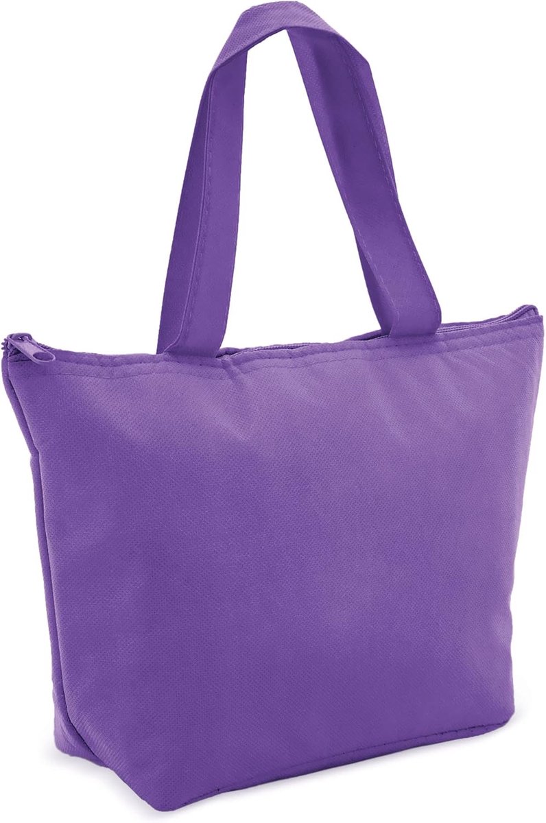 SnelShoppen - Mini Koeltas | Vouwbare Thermische Lunchtas met Rits en Handvat | Houdt Dranken, Snacks en Lunch Koel of Warm | Ideaal voor School, Kant
