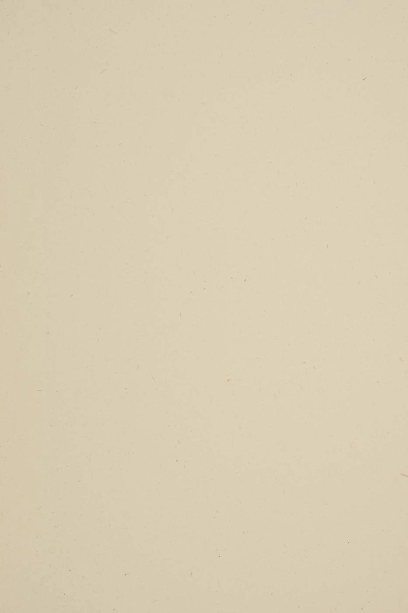 20 vellen gerecycled papier ecru A4 210x297mm 225g Woodstock Betulla ÖKO Vintage Retro knutselpapier natuurlijk papier voor bruiloft kerst verjaardag uitnodigingen visitekaartje