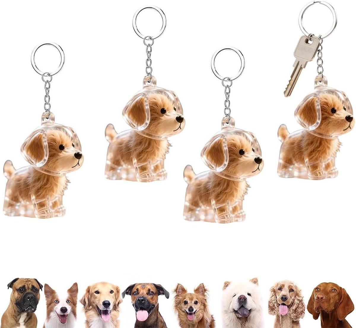 4 stuks sleutelhangers, dierenhaar-sleutelhanger, opbergdoos voor hondenhaar, sleutelhanger een herinneringscadeau om een hond te leren kennen