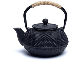 Japanse Stijl Tetsubin 0,6 liter gietijzeren Theepot