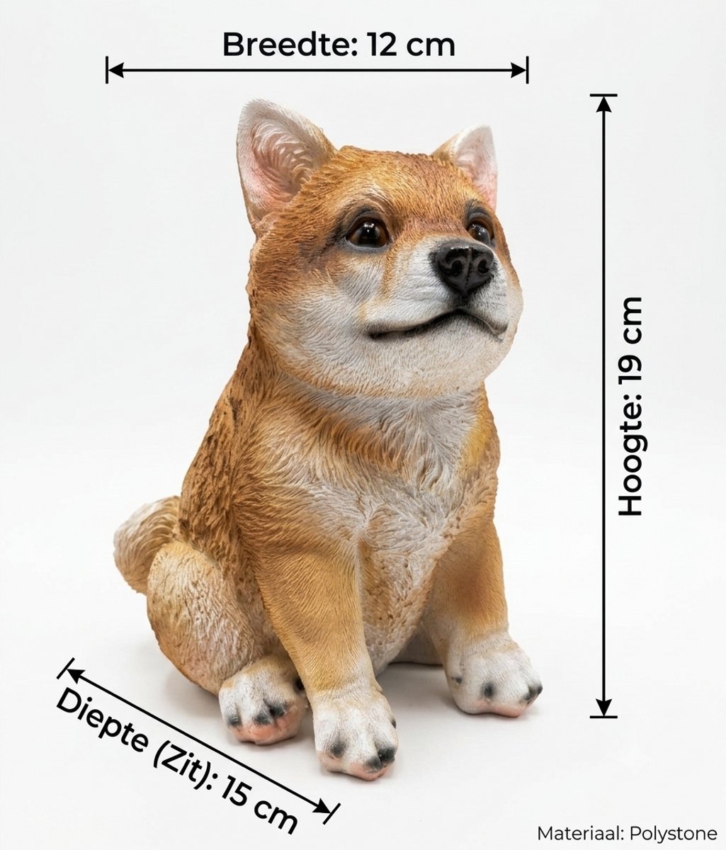 DecoHond Shiba Inu / Akita Puppy Beeld – Zittend – Bruin/Wit – Binnen & Buiten – Polystone – 19 cm Hoog – Realistisch Hondenbeeldje – Decoratie Woonkamer & Tuin