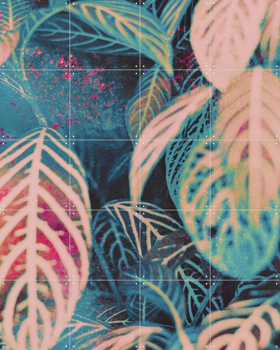 IXXI Seek, Amber Lauder - 80 x 100 cm - Gratis ophangtool - Grote wanddecoratie en posters - Geometrische Kunst, Speels, Surrealisme, Modern