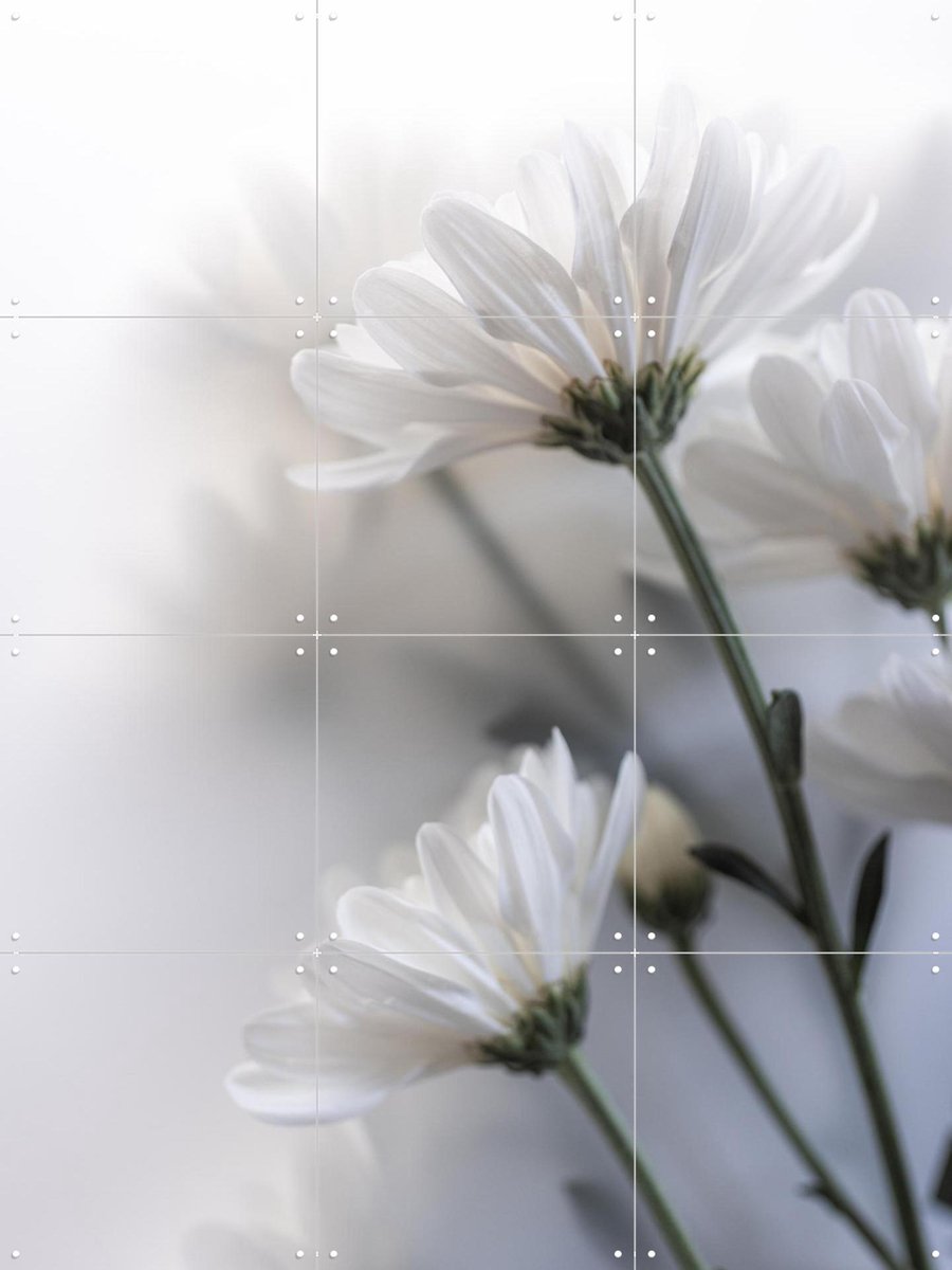 IXXI Blurred Flowers 7, Mareike Böhmer - 60 x 80 cm - Gratis ophangtool - Grote wanddecoratie en posters - Fotografie, Gang, Slaapkamer, Woonkamer