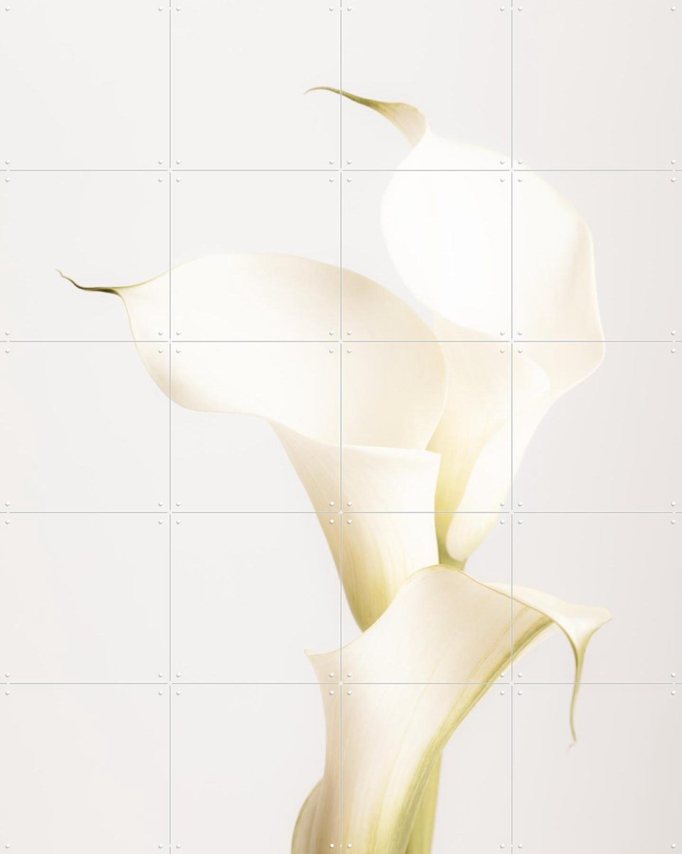 IXXI White Calla Lily No 3, 1x Studio II & Various - 80 x 100 cm - Gratis ophangtool - Grote wanddecoratie en posters - Minimalisme, Abstract