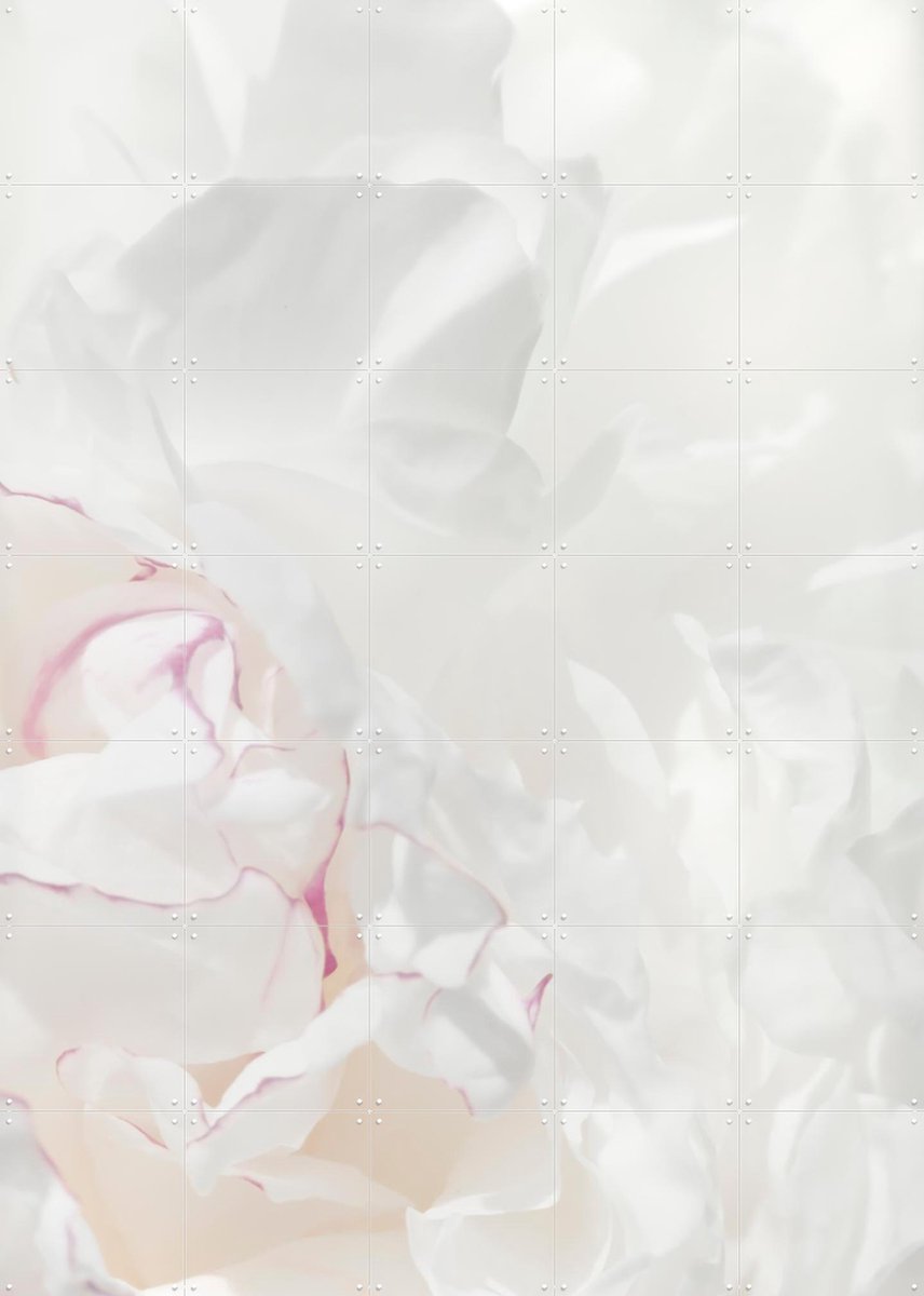 IXXI Peony 21, 1x Studio II & Various - 100 x 140 cm - Gratis ophangtool - Grote wanddecoratie en posters - Modern, Minimalisme, Realisme, Abstract