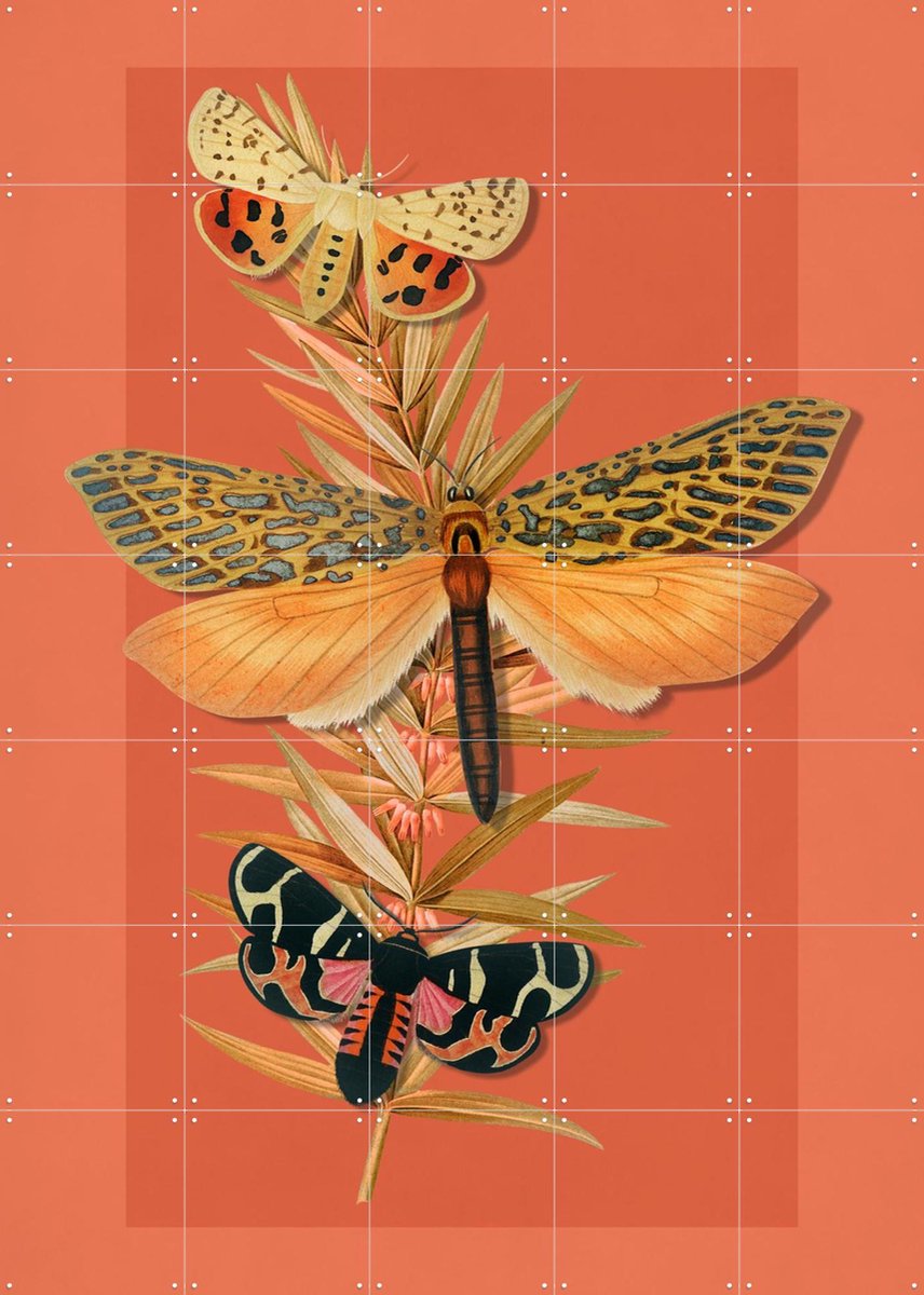 IXXI Summer Into Autumn, Marja van den Hurk - 100 x 140 cm - Gratis ophangtool - Grote wanddecoratie en posters - Fantasierijk, Vintage, Naturalisme