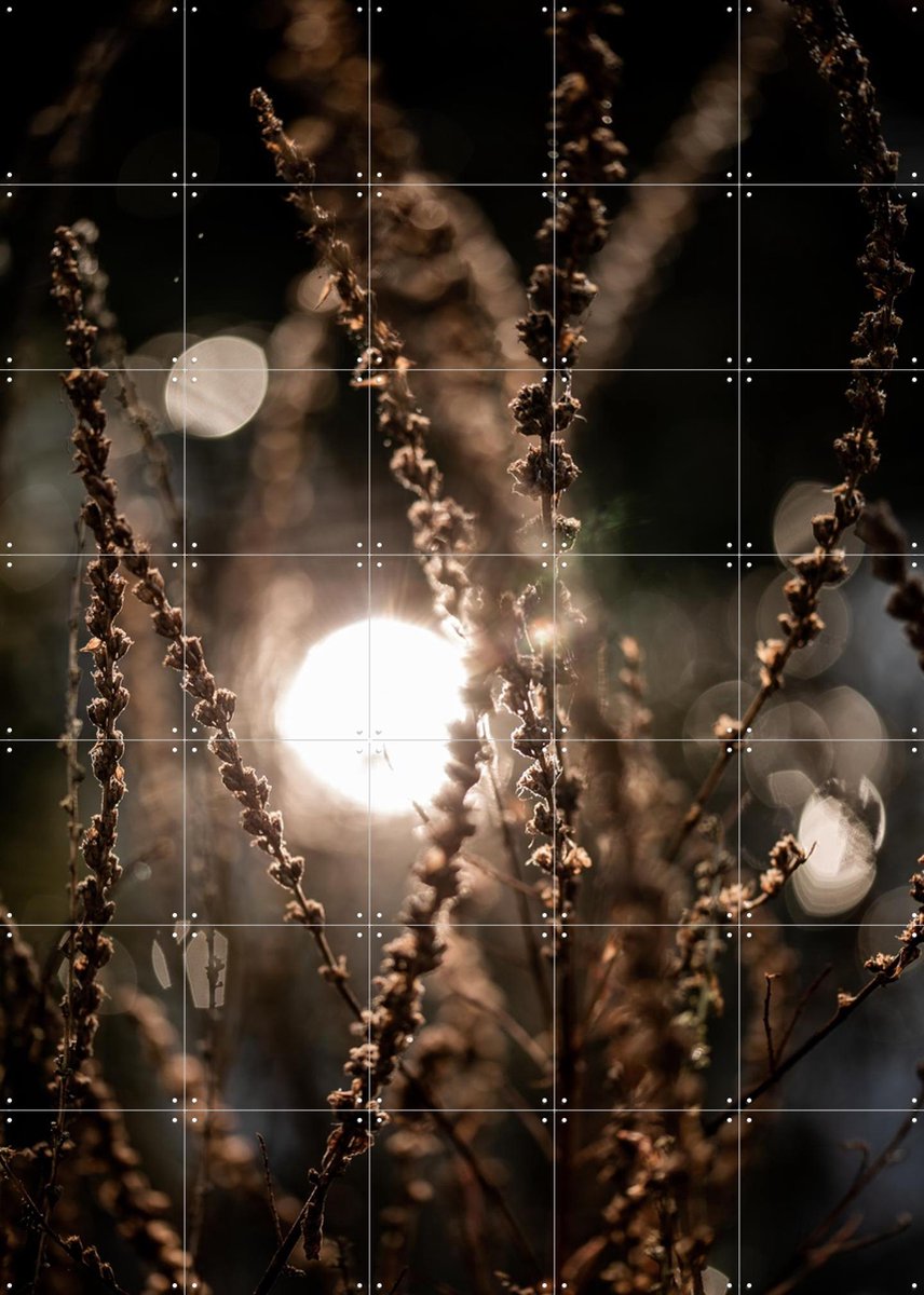 IXXI Natural Sparkle, Mareike Böhmer - 100 x 140 cm - Gratis ophangtool - Grote wanddecoratie en posters - Fotografie, Realisme, Woonkamer, Gang