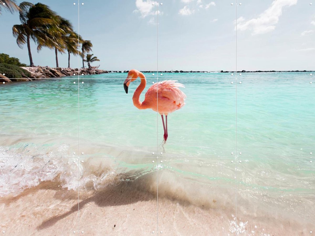 IXXI Flamingo Series Crystal Clear, Claire Droppert - 80 x 60 cm - Gratis ophangtool - Grote wanddecoratie en posters - Kleurrijk, Fotografie