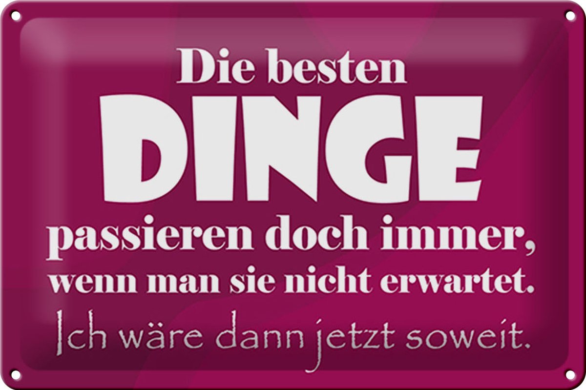 Blechschild Spruch 30x20cm Die besten Dinge