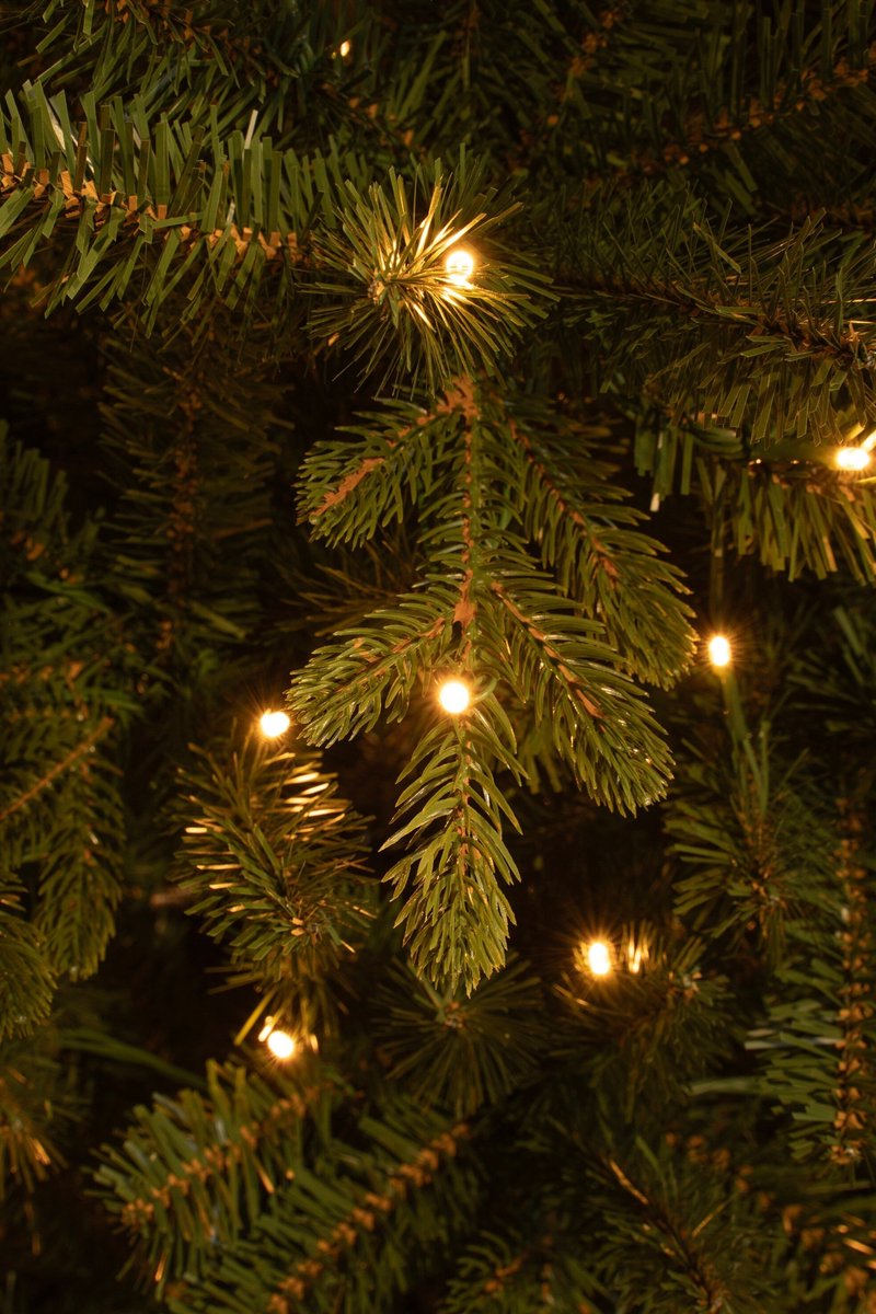 Black Box Trees Harma Smalle Kunstkerstboom - Kerstboom met Verlichting met Timer- en Dimfunctie - Kerstversiering met Warm Witte LED's voor Binnen - H185 x Ø63 cm - Groen – foto 5