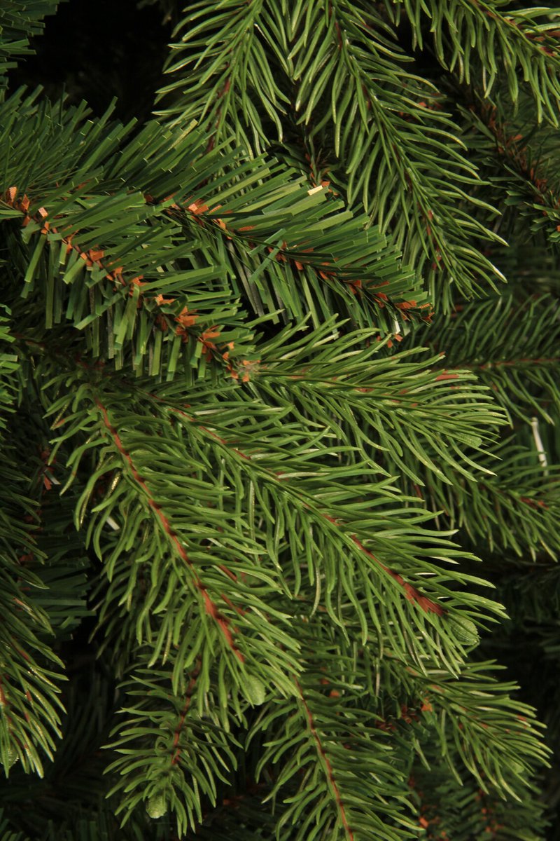 Black Box Trees Brampton Kerstboom - Realistische Kunstboom met Scharnierconstructie - Kerstversiering voor Binnen - Klassieke Boom van PE Naalden - H215 x Ø142 cm - Groen – foto 6