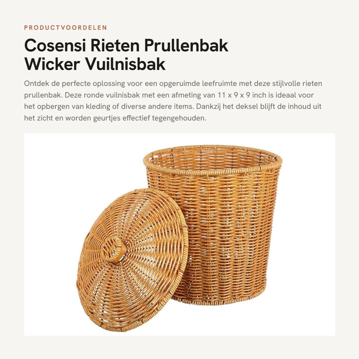 Dailygoods- Afvalemmer met Deksel - Rieten Opbergmand - Afvalbak - Wicker Afvalemmer - 28 x 23 x 23 cm - Robuust en Stabiel