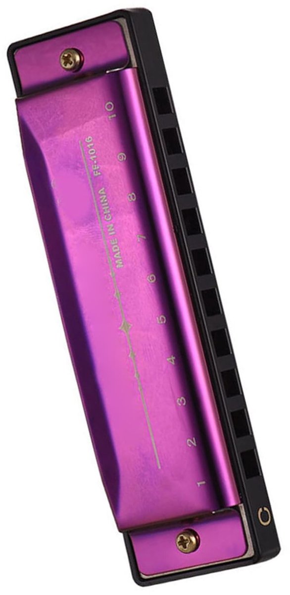 Dailygoods- Mondharmonica Sleutel C - Diatonische Mondharmonica - 10 Gaten - Roestvrij Staal - ABS Mondstuk - Heldere Klank - Harmonica