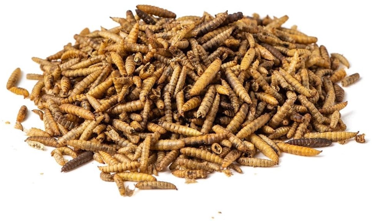 Dailygoods- Soldaatvlieglarven 5kg - Voedingssupplementen - Diervoeder - Eiwit- en calciumrijk - Geschikt voor siervogels - Niet geschikt voor humane consumptie - Voedingssupplement
