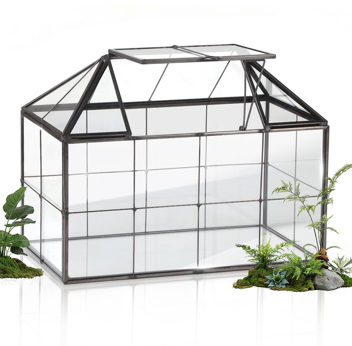 Dailygoods- Broeikas Mini - Vensterbank - 23,3 x 13,6 x 18 cm - Glas