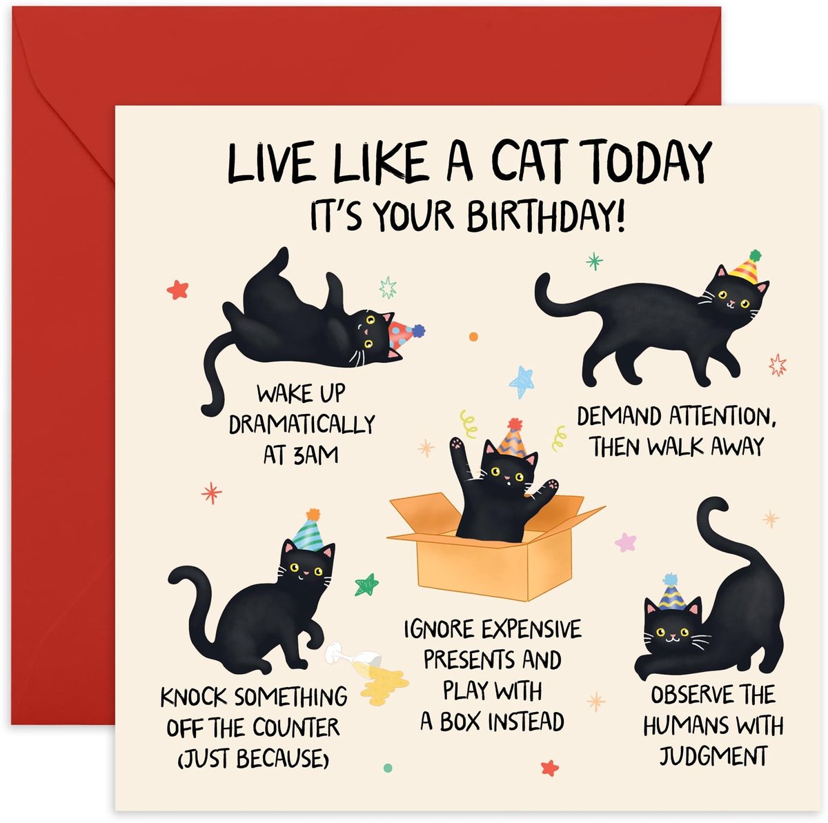 Dailygoods- Verjaardagskaart Grappig ontwerp - Verjaardagskaarten volwassenen - Verjaardagskaarten met envelop - Kattenliefhebbers - 145x145 mm - Duurzaam karton - Feestkaart