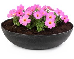 Dailygoods- Plantenschaal Weerbestendig - Ronde Plantenbakken - Duurzaam Kunststof - 37 x 10,5 cm - Buikvormig Design - Voor Binnen/Buiten - Plantenbak
