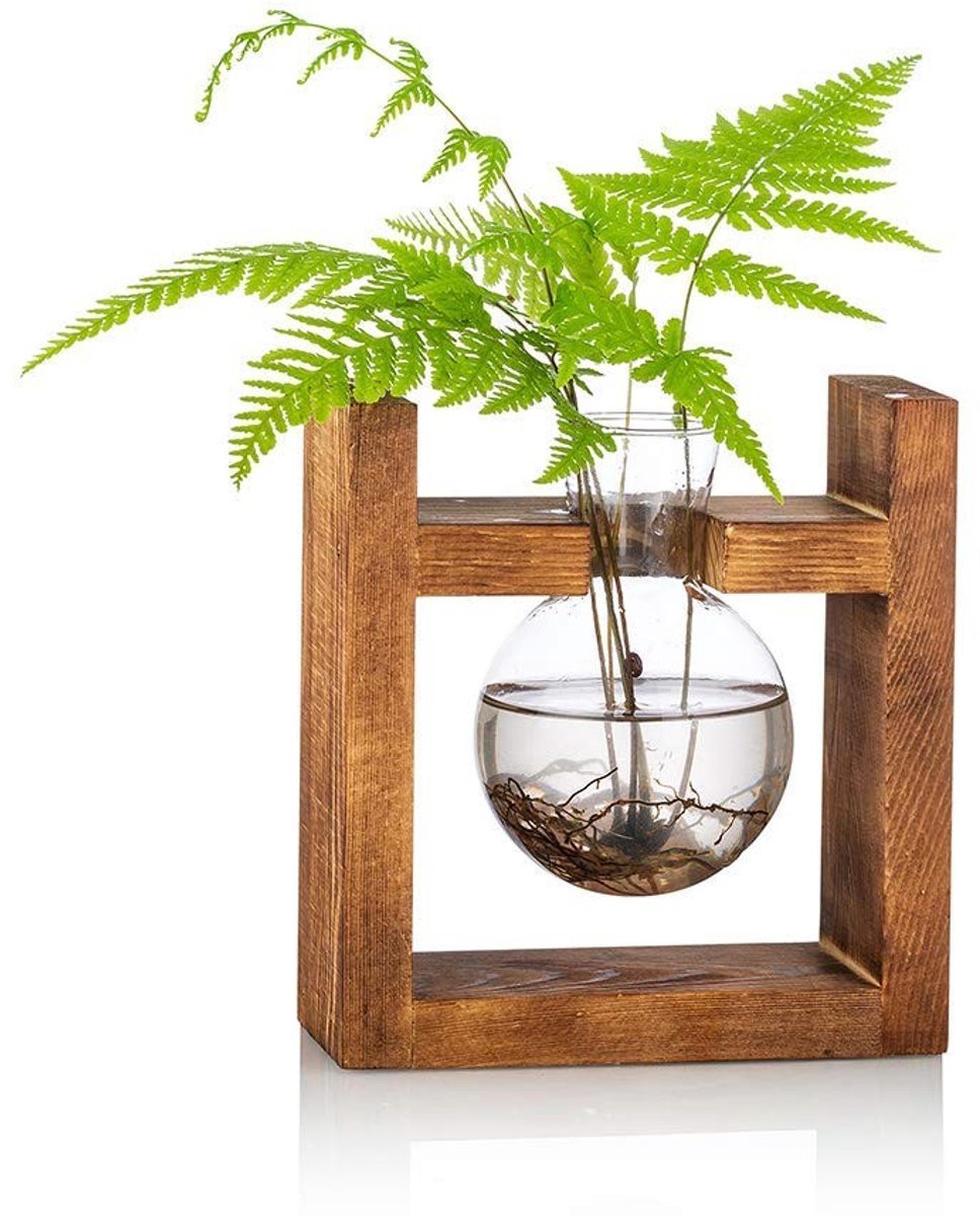Dailygoods- Plantenbak met Houten Rek - Terrariumpot - Bolvaas - Waterplantenstandhouder - Geschikt voor Thuis - Glazen Design - Vaas
