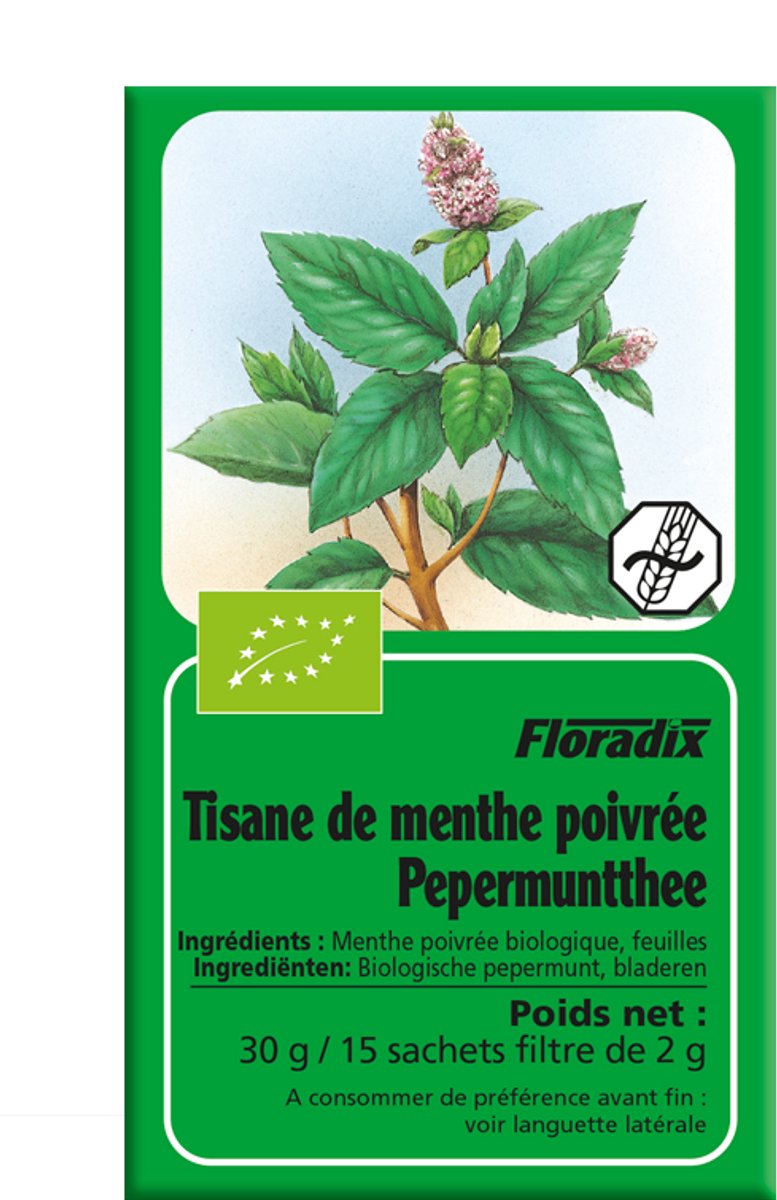Salus Pepermunt thee - 100% biologische pepermunt bladeren - 15 zakjes